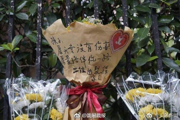 康利：约基奇与穆雷的组合让我想起小加和我 但他们比我们强多了